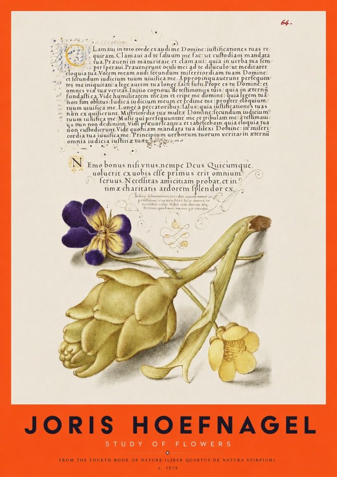 Joris Hoefnagel Botanical Study with Calligraphy III No4 - Plakát