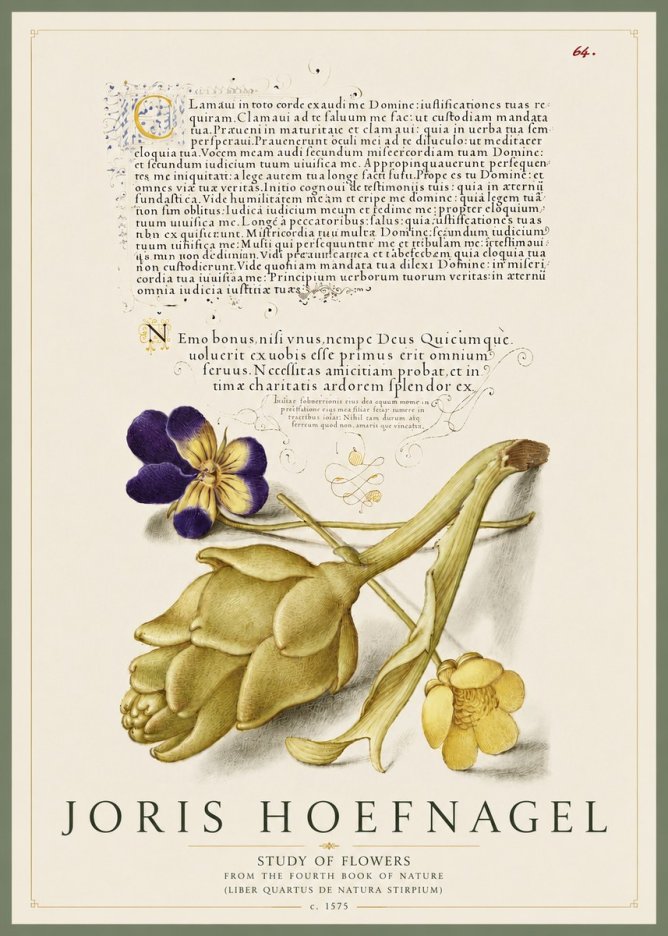 Joris Hoefnagel Botanical Study with Calligraphy III No5 - Plakát