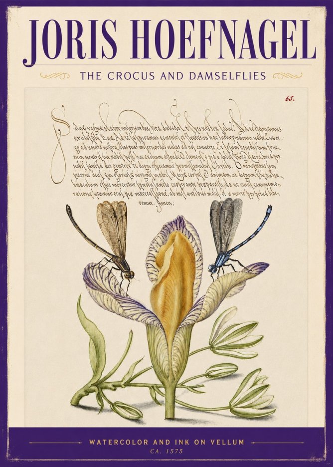 Joris Hoefnagel The Crocus and Damselflies No2 - Plakát
