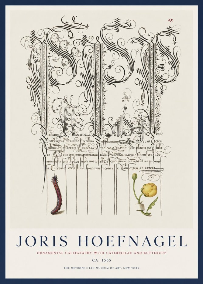 Joris Hoefnagel Ornamental Calligraphy with Caterpillar and Buttercup No1 - Plakát