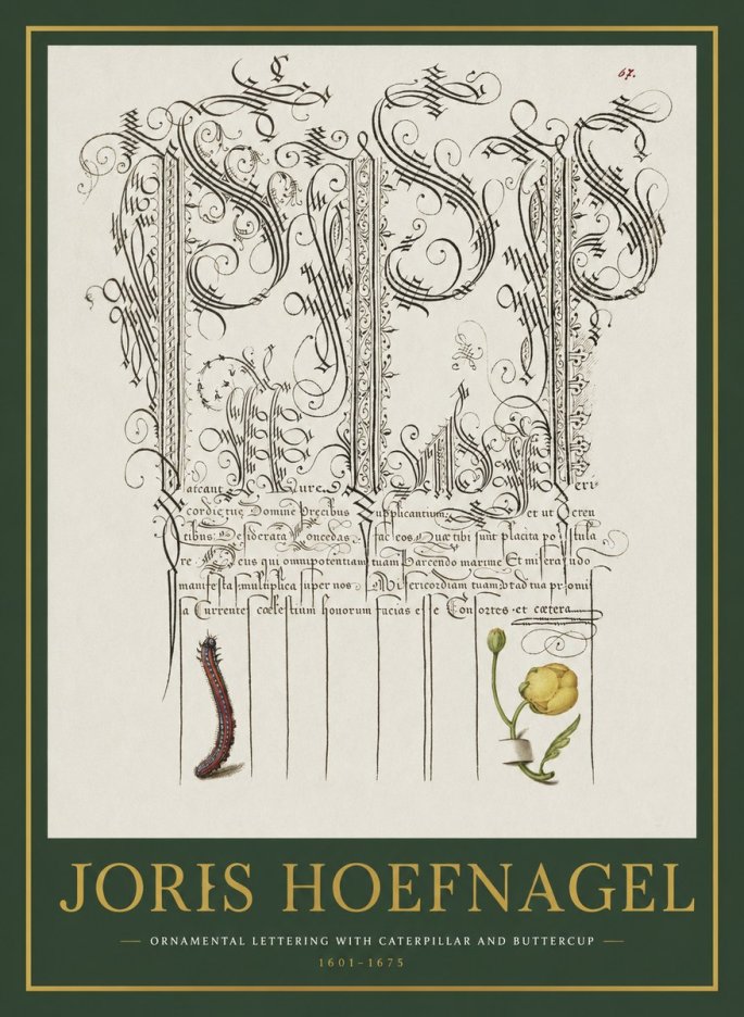 Joris Hoefnagel Ornamental Calligraphy with Caterpillar and Buttercup No2 - Plakát