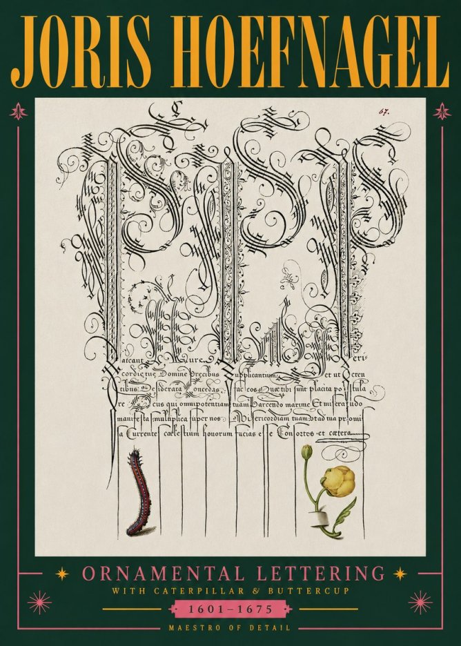 Joris Hoefnagel Ornamental Calligraphy with Caterpillar and Buttercup No5 - Plakát