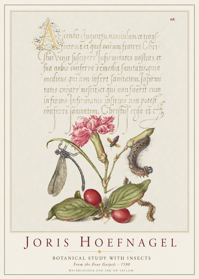 Joris Hoefnagel Botanical Study with Insects No1 - Plakát