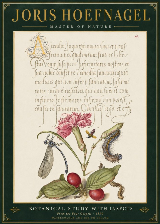 Joris Hoefnagel Botanical Study with Insects No3 - Plakát