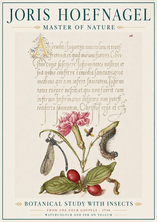 Joris Hoefnagel Botanical Study with Insects No5 - Plakát