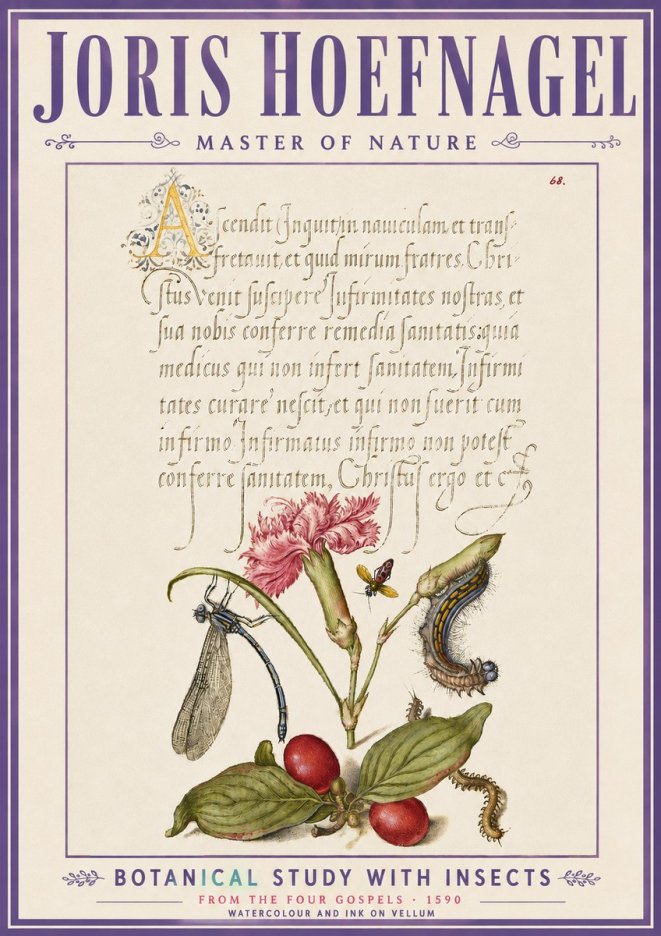 Joris Hoefnagel Botanical Study with Insects No6 - Plakát