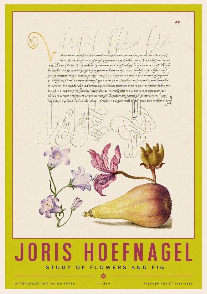 Joris Hoefnagel Study of Plants II No4 - Plakát