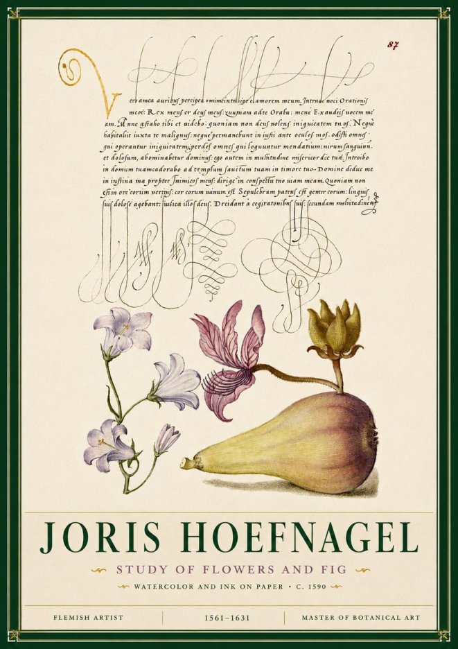 Joris Hoefnagel Study of Plants II No6 - Plakát