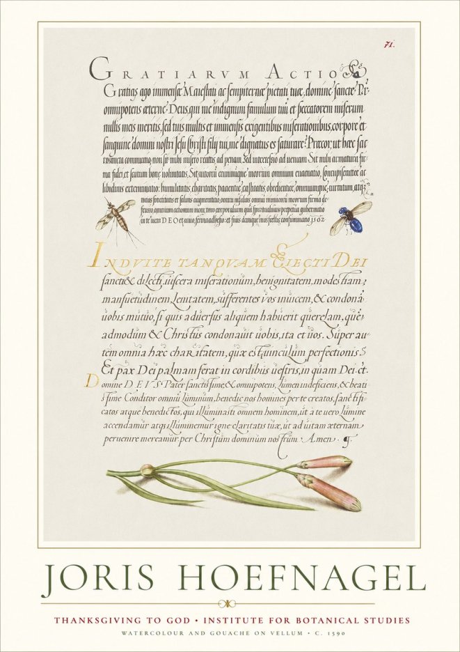 Joris Hoefnagel Thanksgiving to God • Institute for Botanical Studies No1 - Plakát