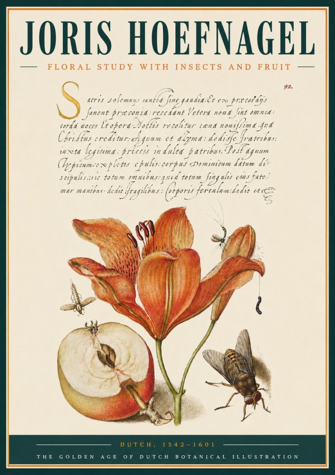 Joris Hoefnagel Floral Study with Insects and Fruit No3 - Plakát