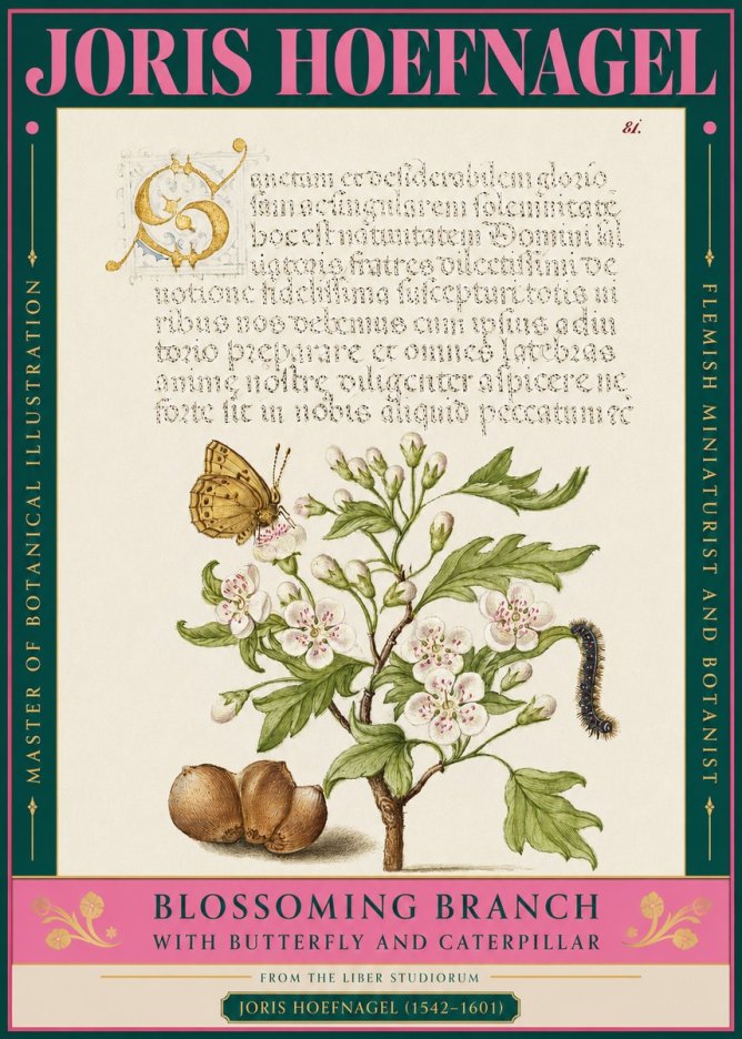 Joris Hoefnagel Blossoming Branch No3 - Plakát
