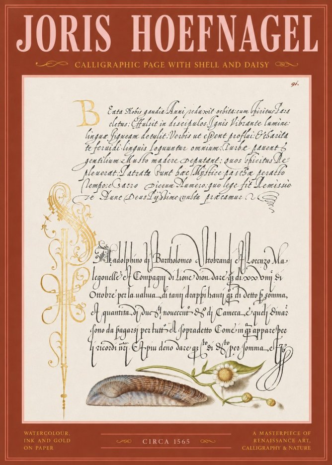Joris Hoefnagel Calligraphic Page with Shell and Daisy No2 - Plakát