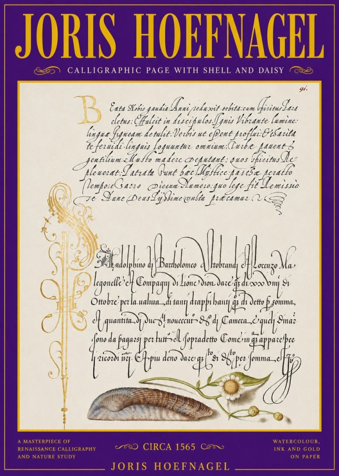 Joris Hoefnagel Calligraphic Page with Shell and Daisy No3 - Plakát