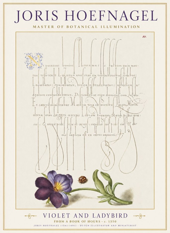 Joris Hoefnagel Violet and Ladybird No1 - Plakát