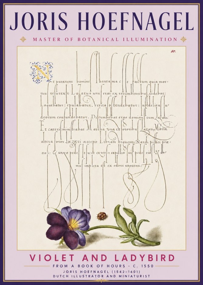 Joris Hoefnagel Violet and Ladybird No3 - Plakát