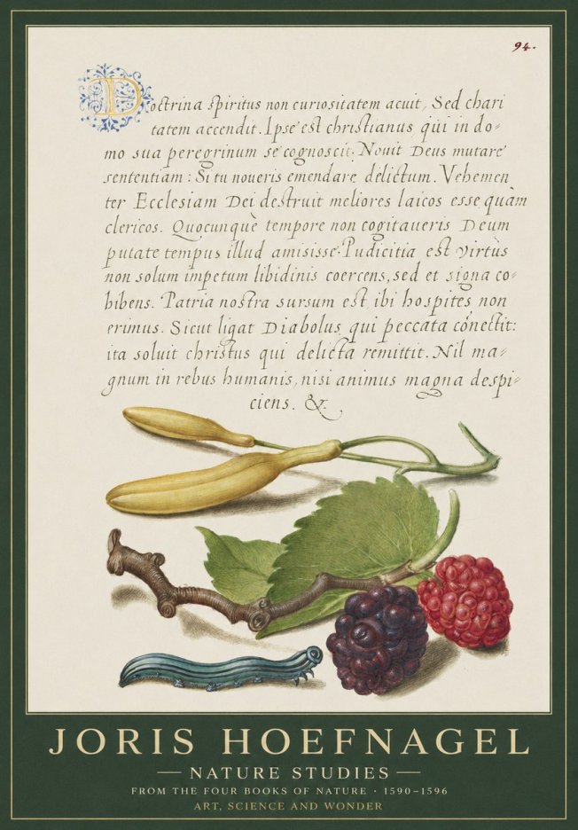 Joris Hoefnagel Nature Studies No1 - Plakát
