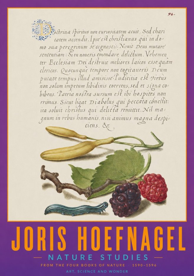 Joris Hoefnagel Nature Studies No2 - Plakát