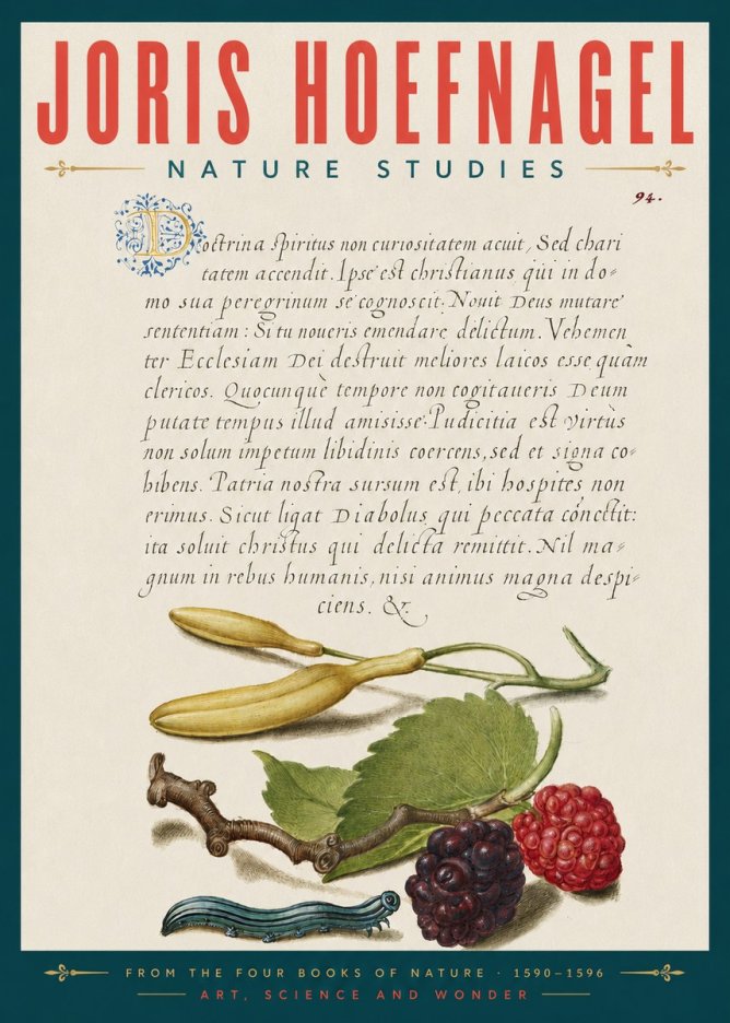 Joris Hoefnagel Nature Studies No5 - Plakát