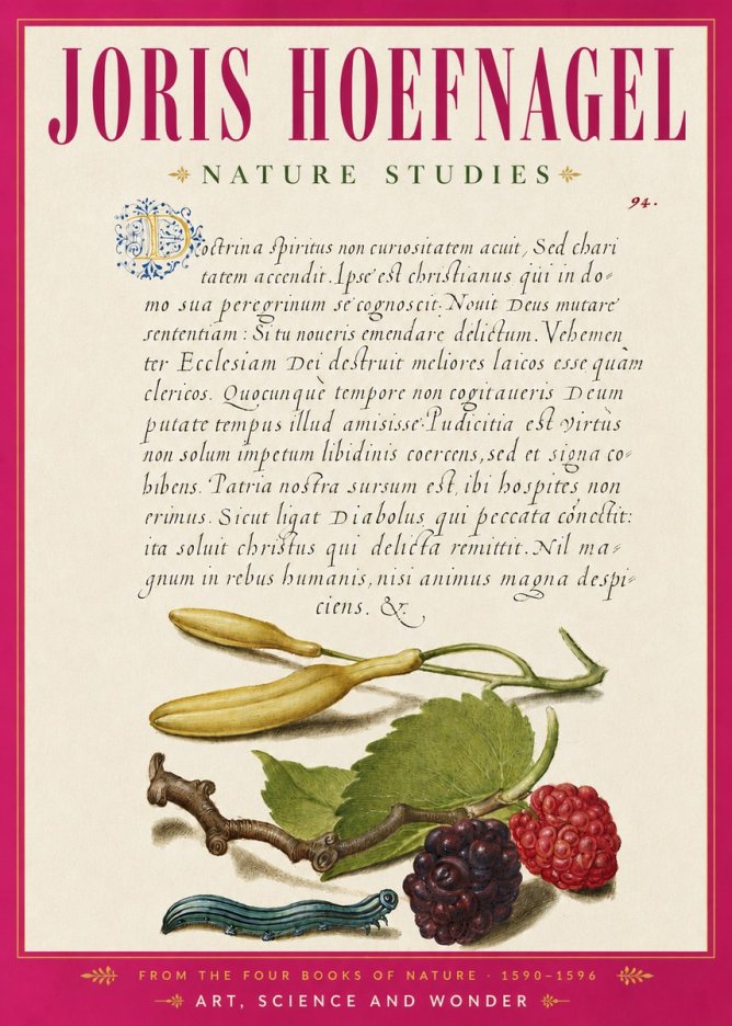 Joris Hoefnagel Nature Studies No6 - Plakát