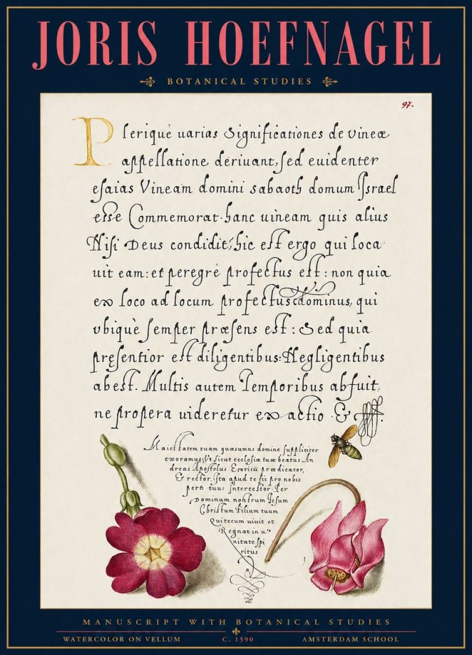 Joris Hoefnagel Manuscript with Botanical Studies No3 - Plakát