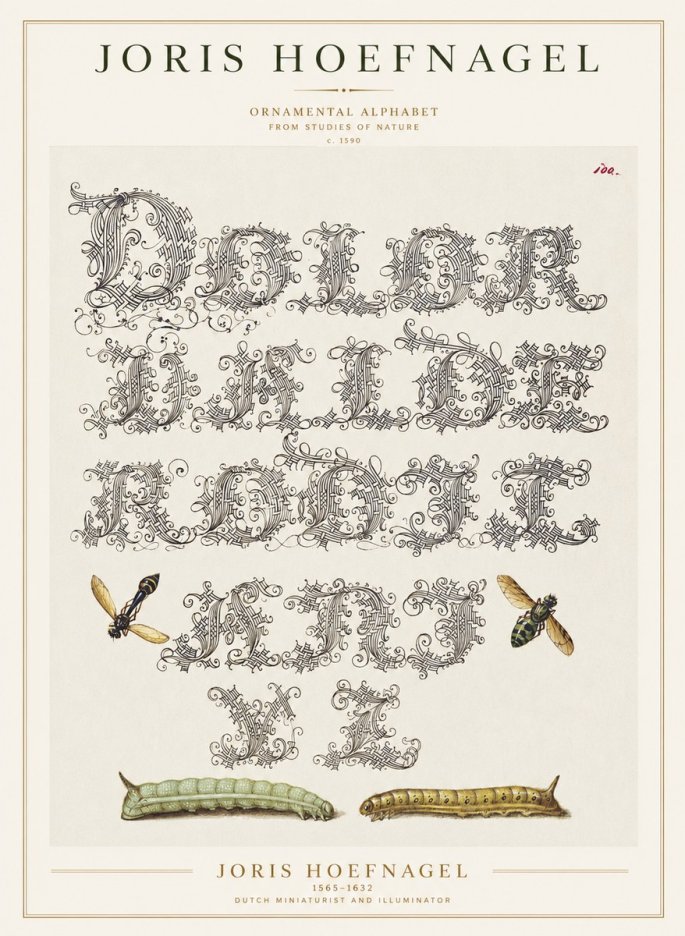 Joris Hoefnagel Ornamental Alphabet from Studies of Nature No1 - Plakát