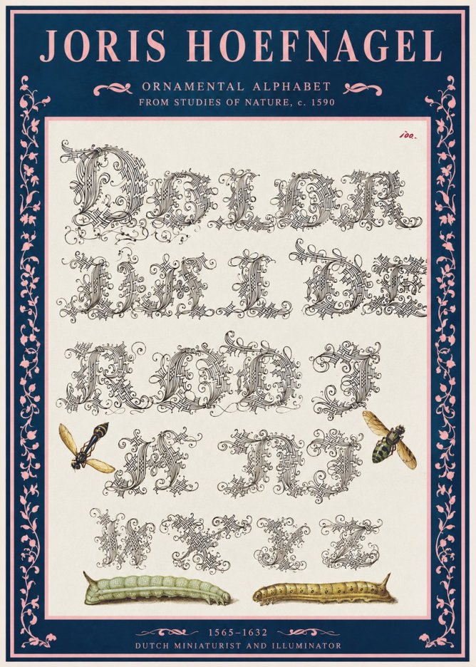 Joris Hoefnagel Ornamental Alphabet from Studies of Nature No2 - Plakát