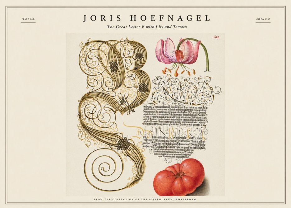 Joris Hoefnagel The Great Letter B with Lily and Tomato No1 - Plakát