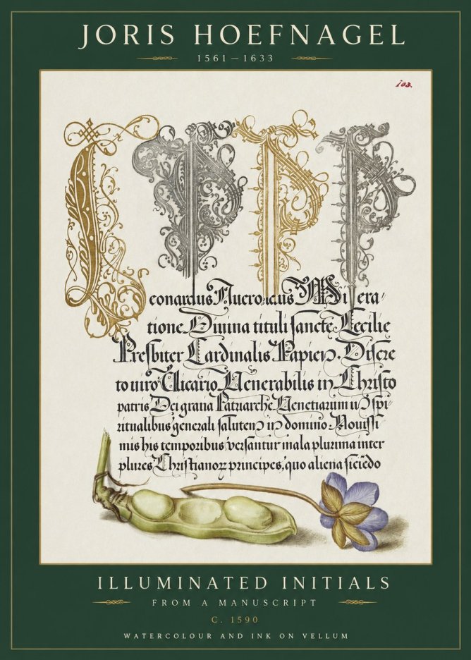 Joris Hoefnagel Illuminated Initials with Peapod and Flower No2 - Plakát