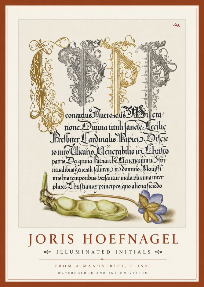 Joris Hoefnagel Illuminated Initials with Peapod and Flower No4 - Plakát