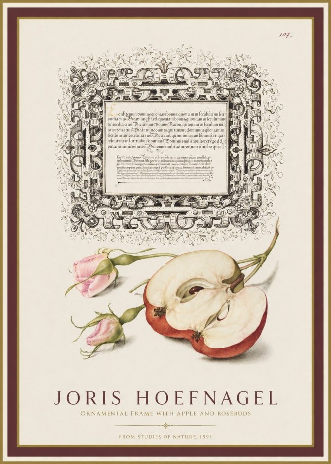 Joris Hoefnagel Illuminated Calligraphy and Botanical Study No2 - Plakát