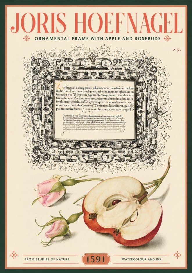 Joris Hoefnagel Illuminated Calligraphy and Botanical Study No3 - Plakát