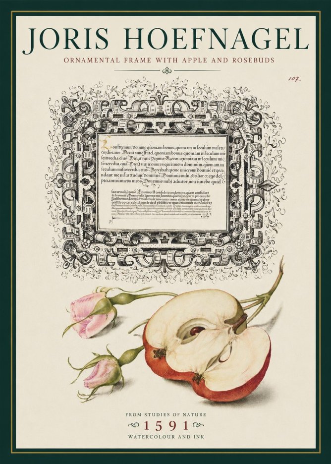 Joris Hoefnagel Illuminated Calligraphy and Botanical Study No5 - Plakát