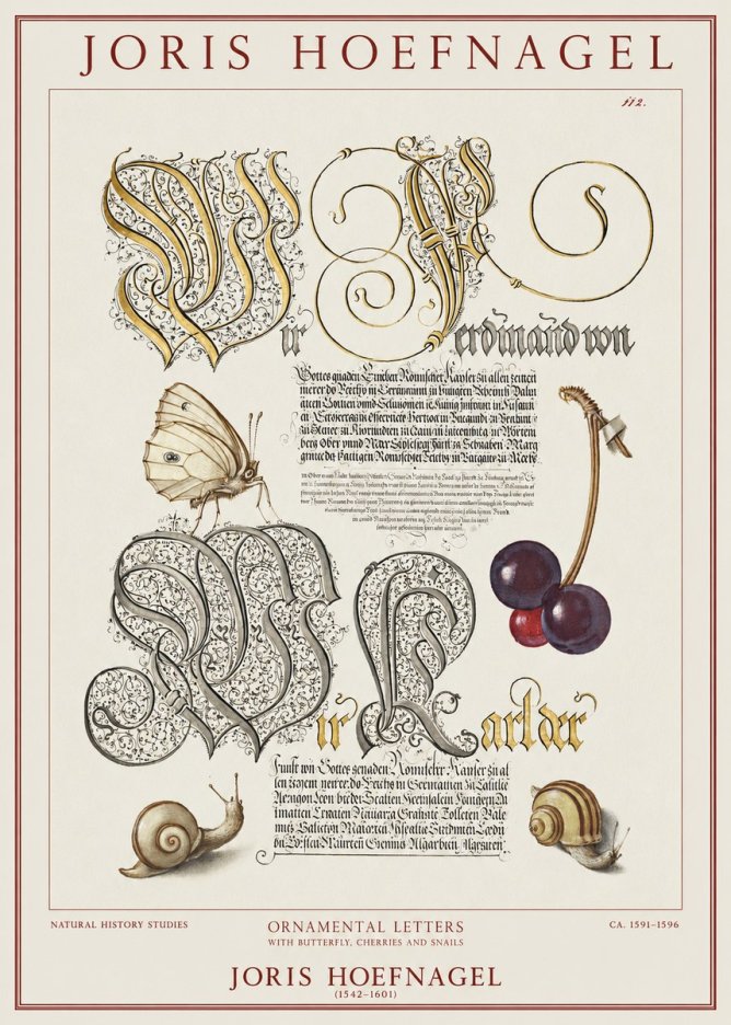 Joris Hoefnagel Ornamental Letters with Butterfly, Cherries and Snails No1 - Plakát