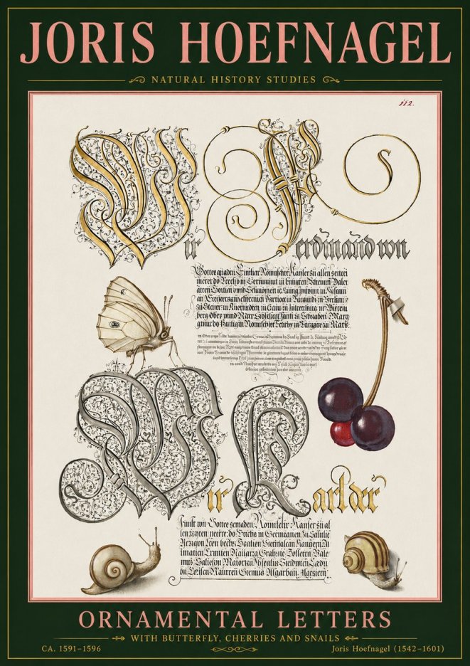 Joris Hoefnagel Ornamental Letters with Butterfly, Cherries and Snails No5 - Plakát