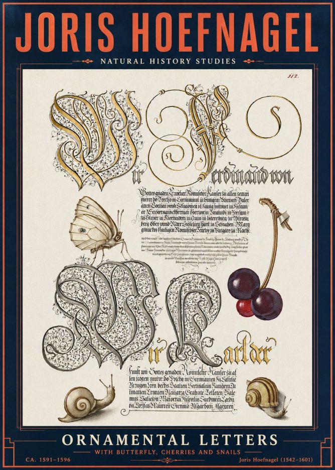 Joris Hoefnagel Ornamental Letters with Butterfly, Cherries and Snails No6 - Plakát