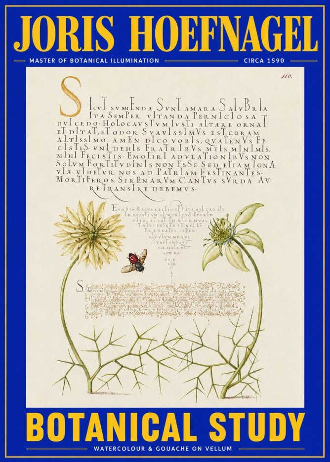 Joris Hoefnagel Botanical Study with Insect No4 - Plakát