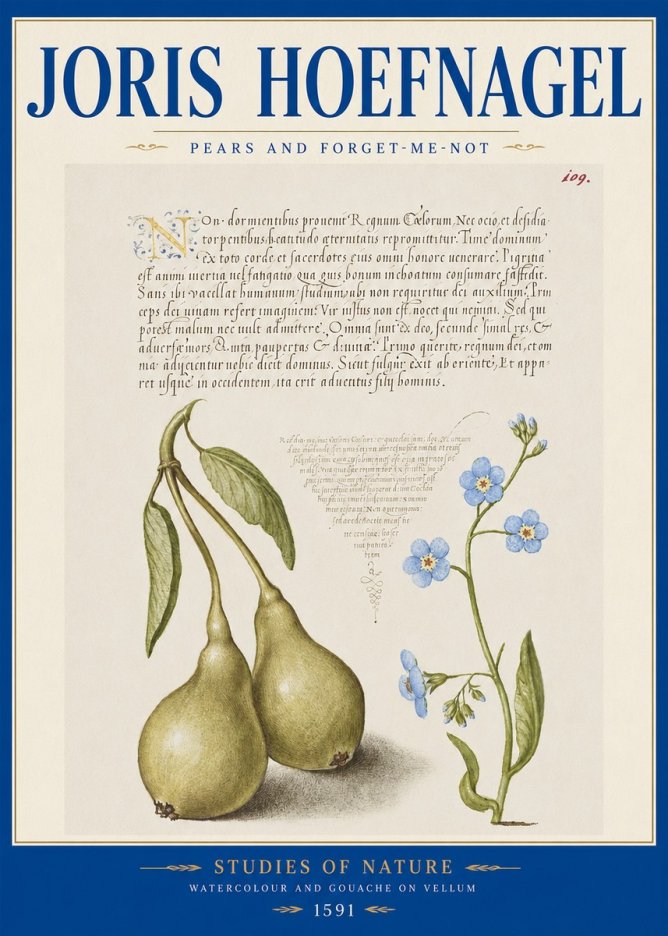 Joris Hoefnagel Pears and Forget-me-not No2 - Plakát