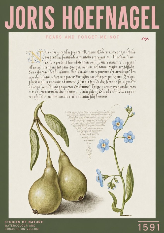 Joris Hoefnagel Pears and Forget-me-not No3 - Plakát