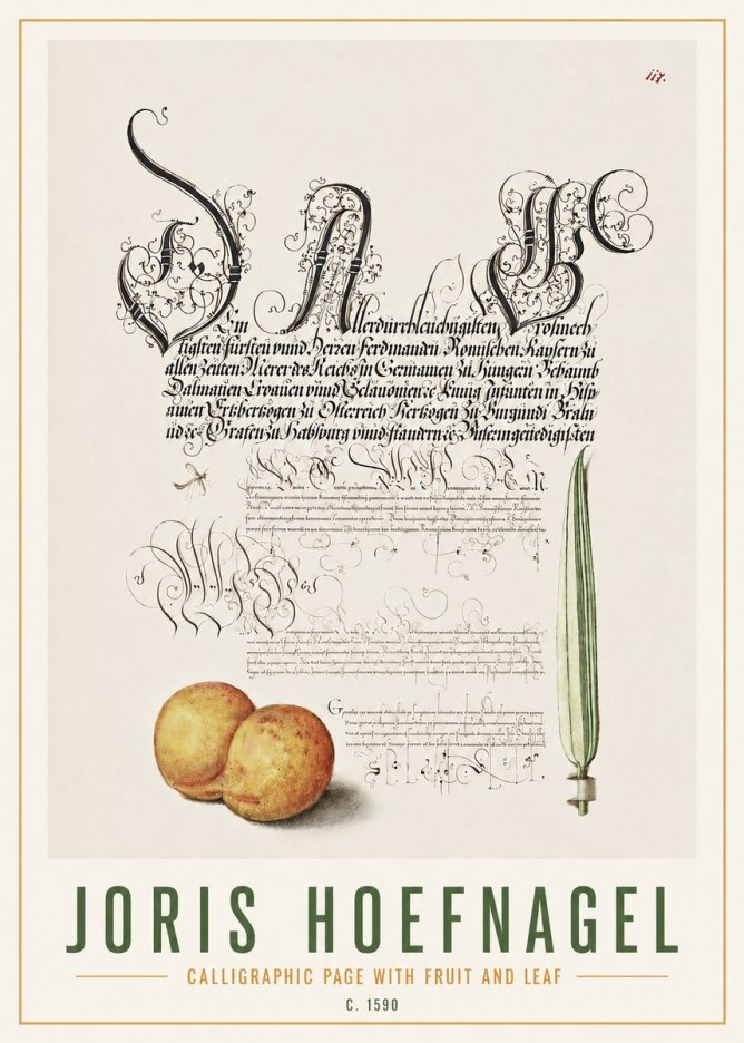 Joris Hoefnagel Calligraphic Page with Fruit and Leaf No4 - Plakát