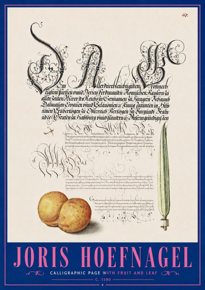 Joris Hoefnagel Calligraphic Page with Fruit and Leaf No5 - Plakát