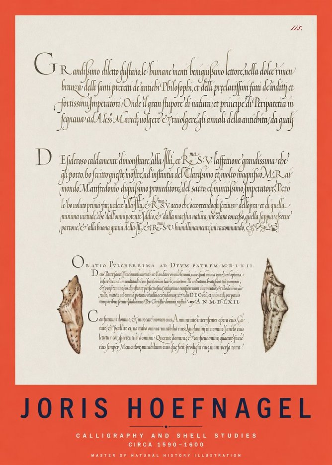 Joris Hoefnagel Study of Shells and Calligraphy No3 - Plakát