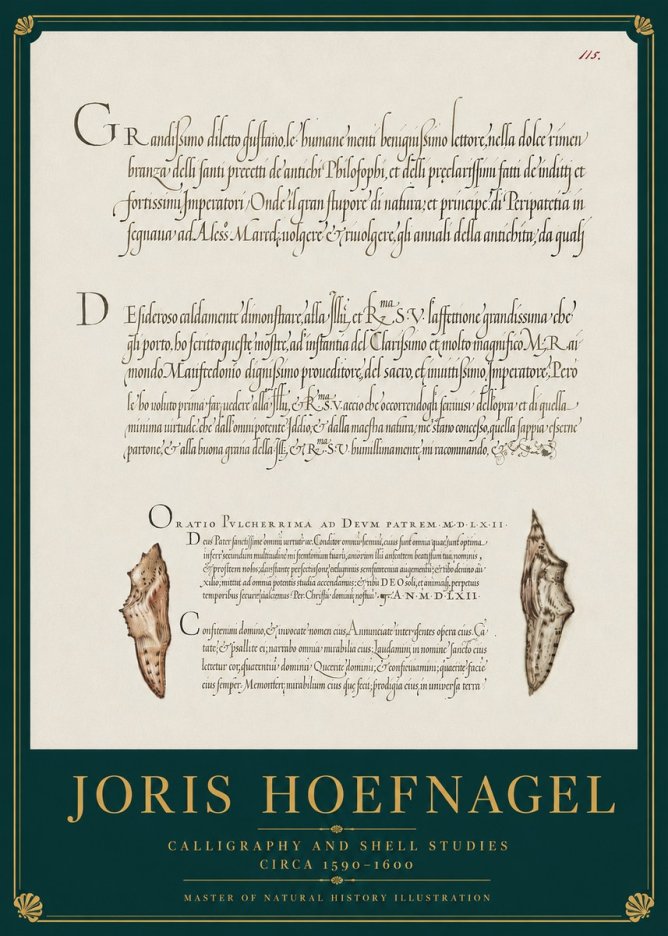 Joris Hoefnagel Study of Shells and Calligraphy No4 - Plakát