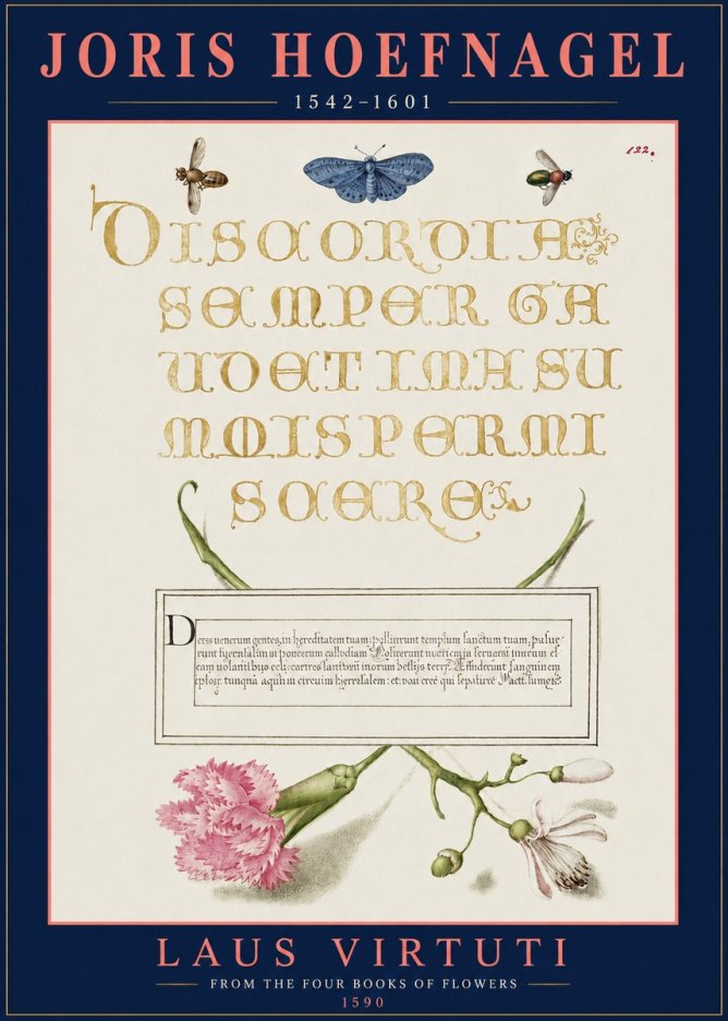 Joris Hoefnagel Laus Virtuti No3 - Plakát