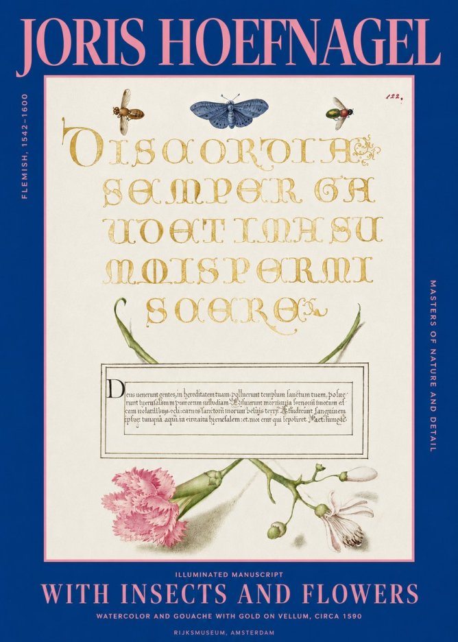 Joris Hoefnagel Laus Virtuti No5 - Plakát