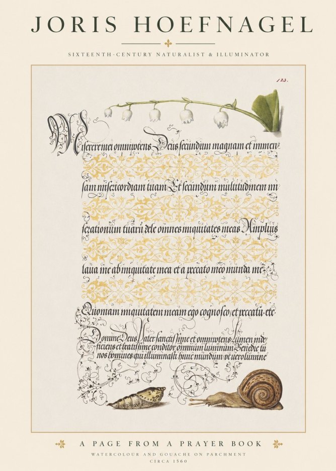 Joris Hoefnagel Lily of the Valley, Snail and Caterpillar No6 - Plakát