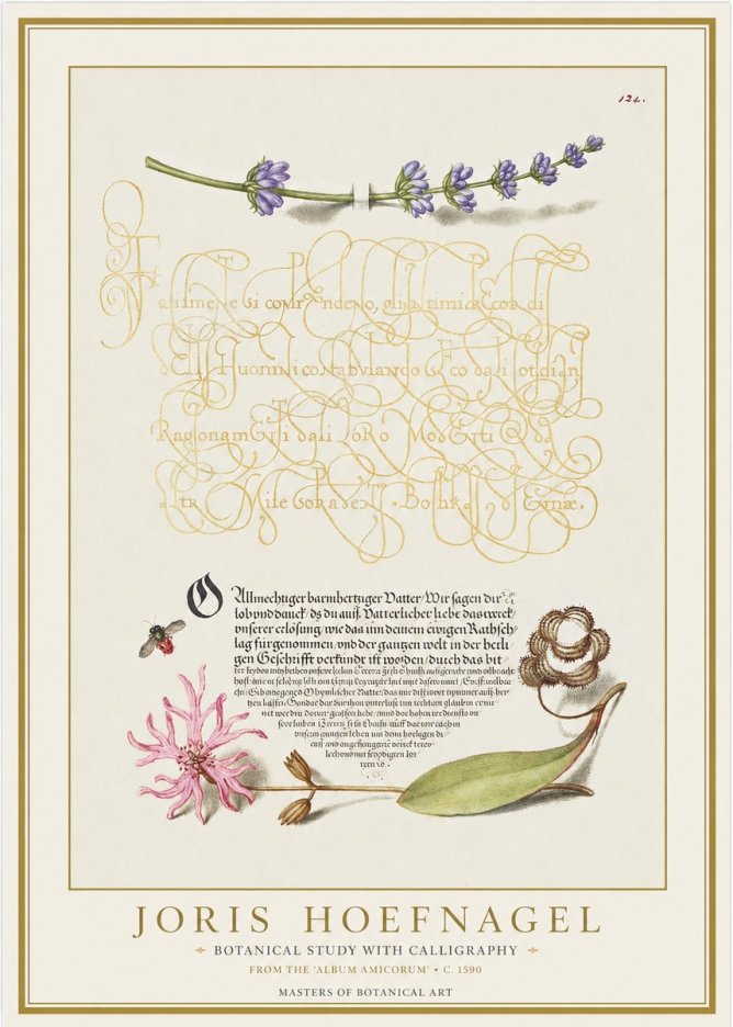 Joris Hoefnagel Botanical Study with Calligraphy IV No1 - Plakát