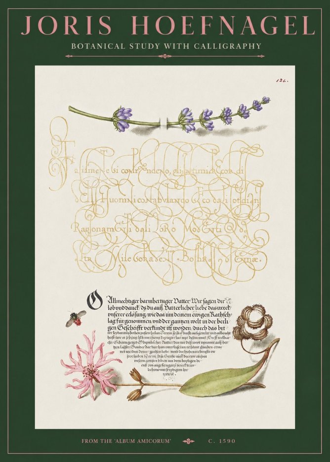 Joris Hoefnagel Botanical Study with Calligraphy IV No2 - Plakát