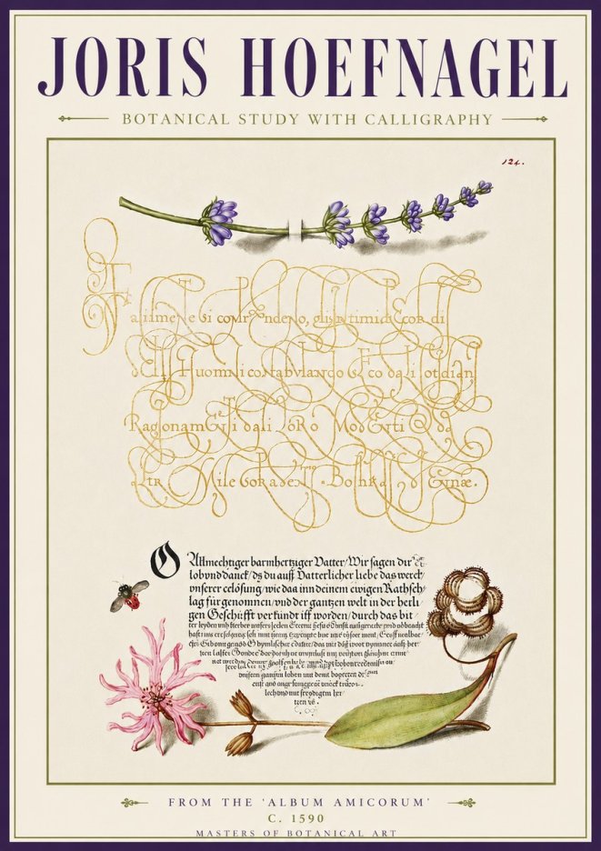 Joris Hoefnagel Botanical Study with Calligraphy IV No5 - Plakát
