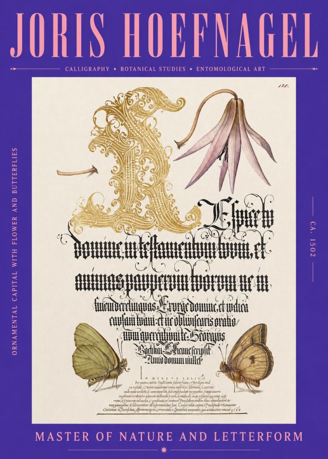 Joris Hoefnagel Ornamental Capital with Flower and Butterflies No2 - Plakát