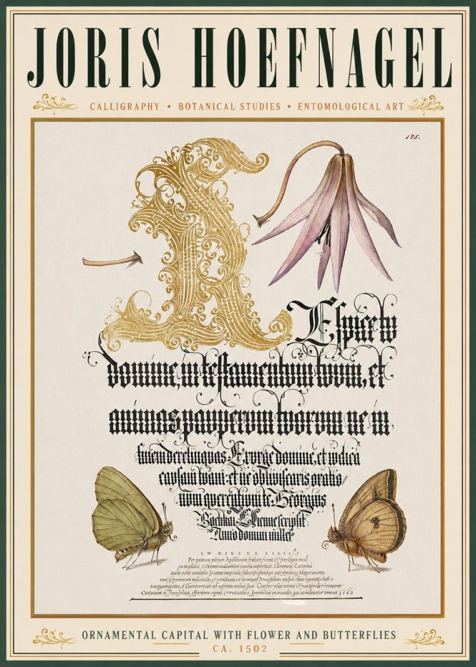 Joris Hoefnagel Ornamental Capital with Flower and Butterflies No3 - Plakát